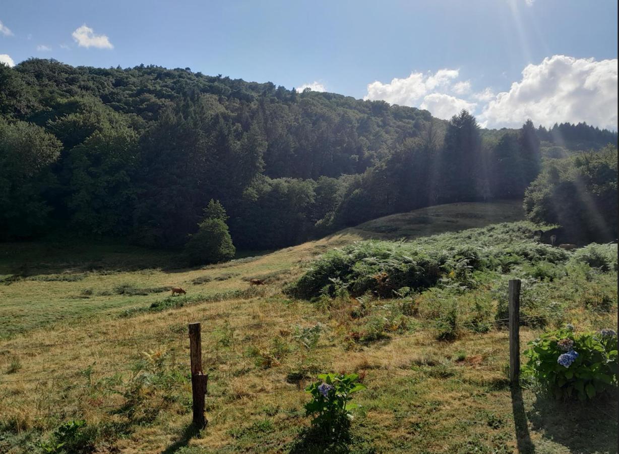 Chalet Charmant A Saint-Sylvestre Avec Terrasse Et Jardin Ambazac Buitenkant foto